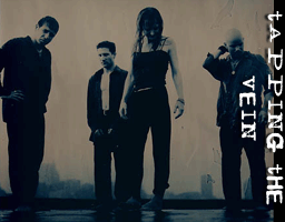 Tapping The Vein band photo